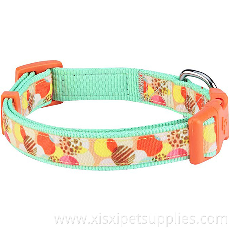 Soft Comfortable quick fit Dog Collar with custom size